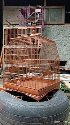 Bird cage (Galeri sangkar cungkok kelapa )