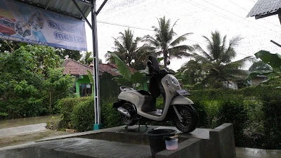 MAZAYA STEAM