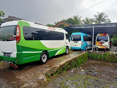 Wily Tran's Travel & Pariwisata