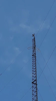 FAUZY COMP NET