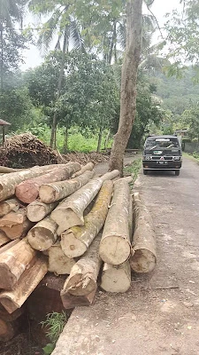 Pabrit kayu pak ristam
