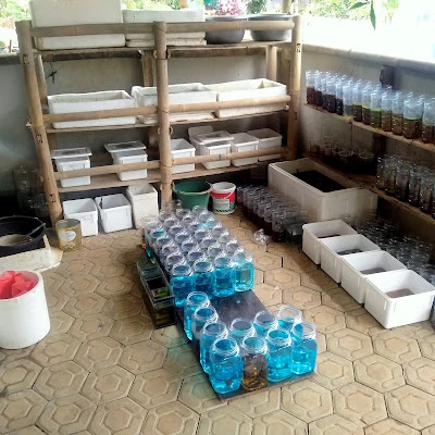 Matta Betta Farm