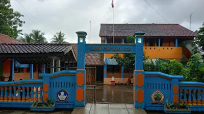 SDN Cipari 02