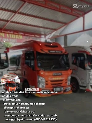 Adidas Trans