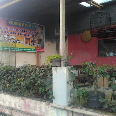 Padepokan pleci didi donald
