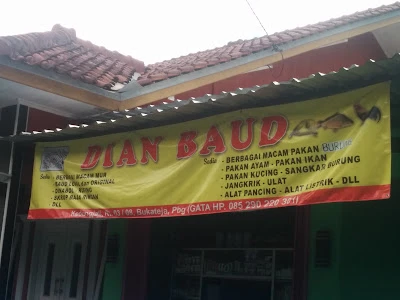 Dian Baud