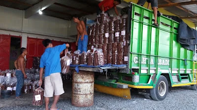 Kelompok Tani SUMBER TANI