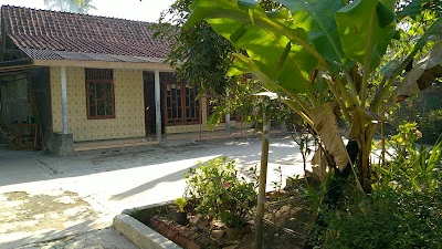 Fauziyatul Latifah