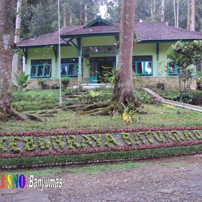 RD BESUKI BKPH BOKOL