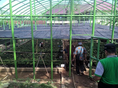 UPTD Pembibitan Tanaman Perkebunan Sidareja