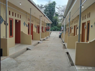 Green Palm Kost