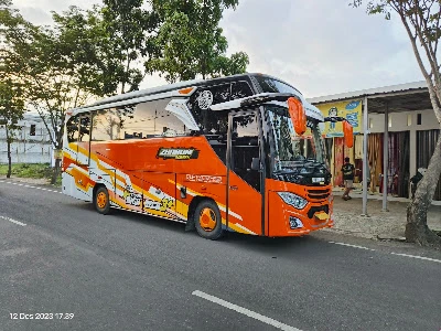 Zhanum Trans