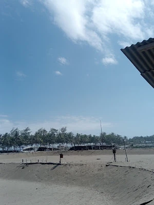 Tambak udang