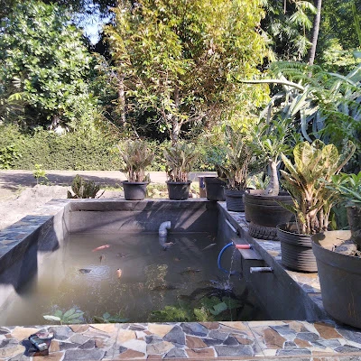 Warung Pak Jasiman