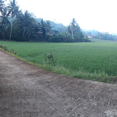 Ruang kelas VII B