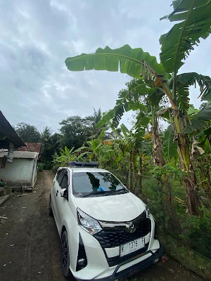 WANEE RENT SILANGSUR