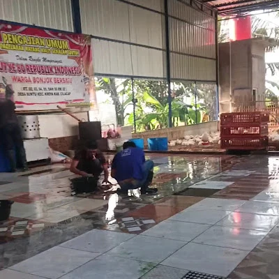 CACING SUTRA PAK WAHYU