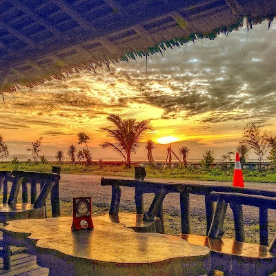 Gajebo kopi