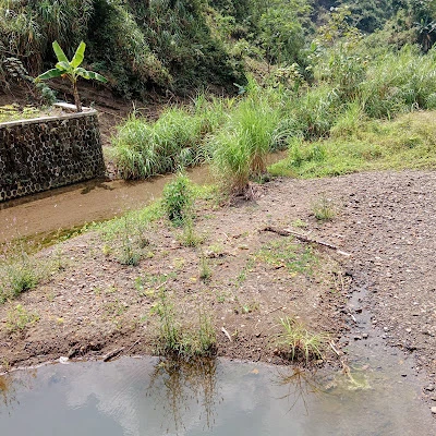 Kebun Sadan