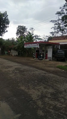 Pom mini kiwong