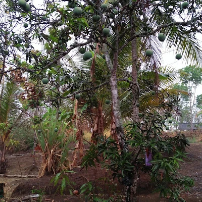 Masjid Bintang Kecil