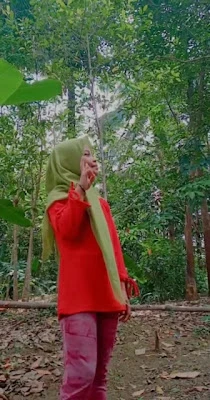 SD Negeri Malabar 04