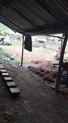 PT Karunia Tetes Manis dan CV Karunia Tetes Manis