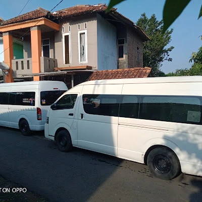 FREDY TRAVEL