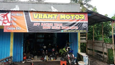 Viiant Motor