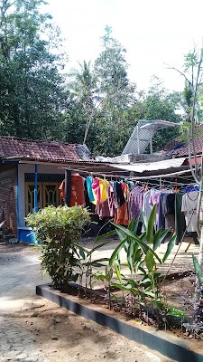 Laundry Tr35no