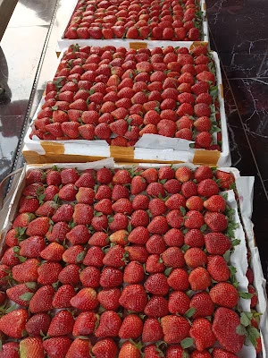 Fresh Berri
