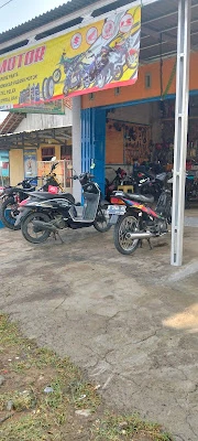 Fan's Motor