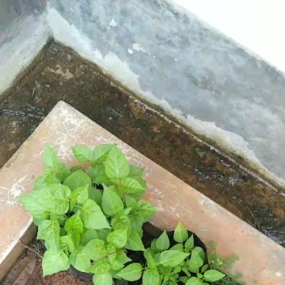 Bengkel Pak. Dirin