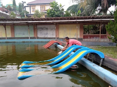 tayem swimming pool