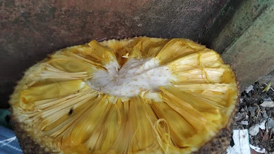 Sutarso tukang kayu