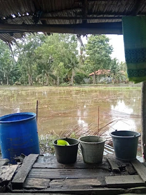 Rumah silpi