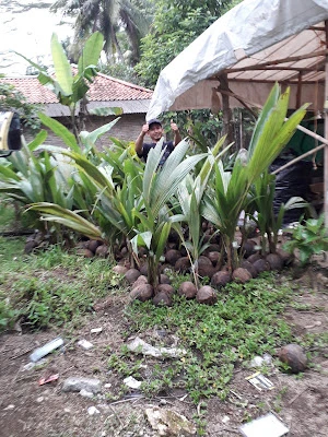 Bank Sampah Ishlahiyyah