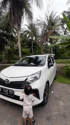 Pinas Trans