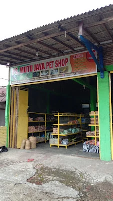 Mutu Jaya Pet Shop