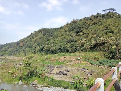 Sawah