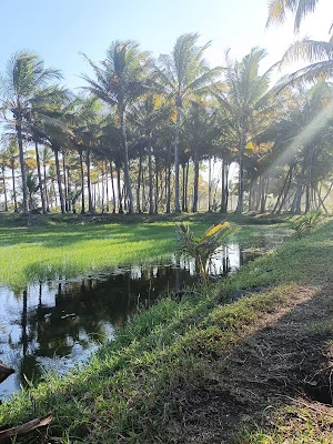 Bedahan Wagir Indah