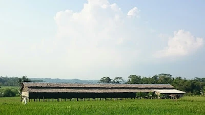 Semboja Farm