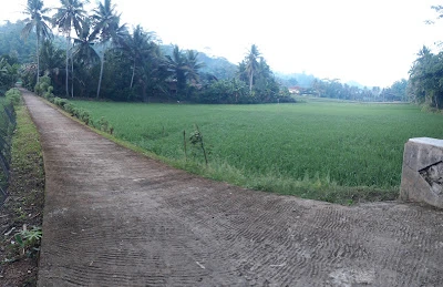BALADHIKA COURSE