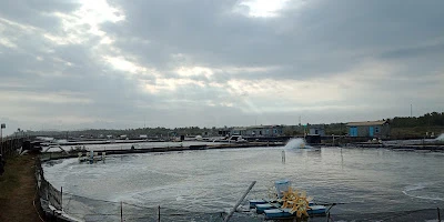 PT. Lautan Mas Jaya (LMJ)