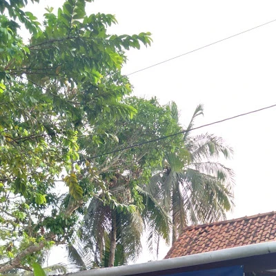 rumah chelsea yoka pratama