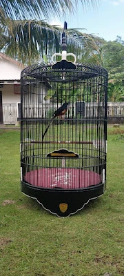 OPIK BIRD FARM