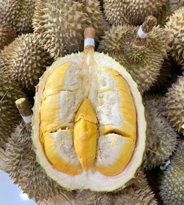 Durian Jatuhan