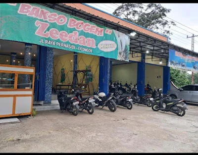 ZASKIA MOTOR