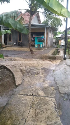 Toyo sayur