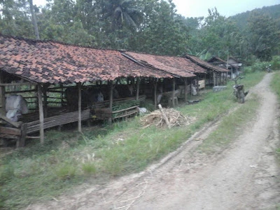 Bulaksari